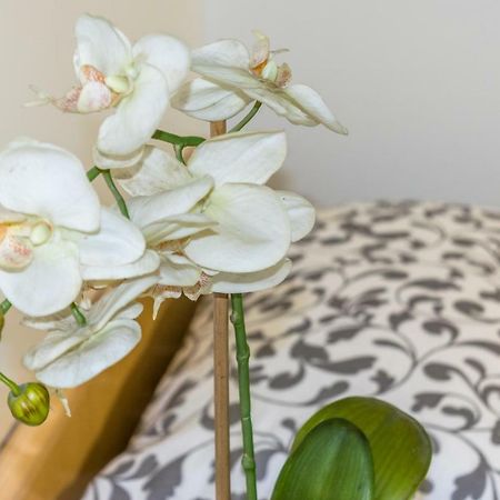 La Campanella Apartment Modena Ngoại thất bức ảnh